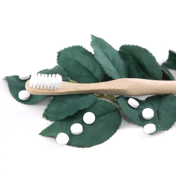 Bamboo Toothbrush Gogreen